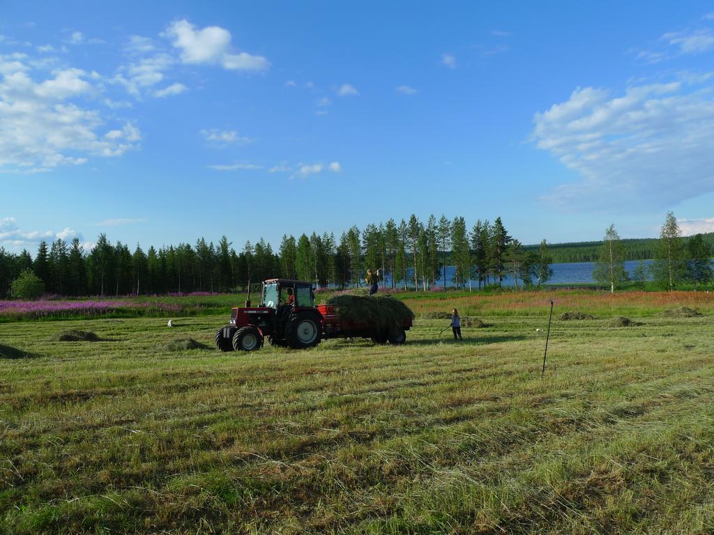 Villa Heidin Mummola Farm Pello Esterno foto